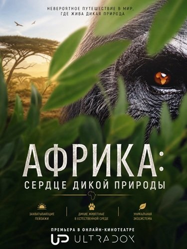 Африка: сердце дикой природы